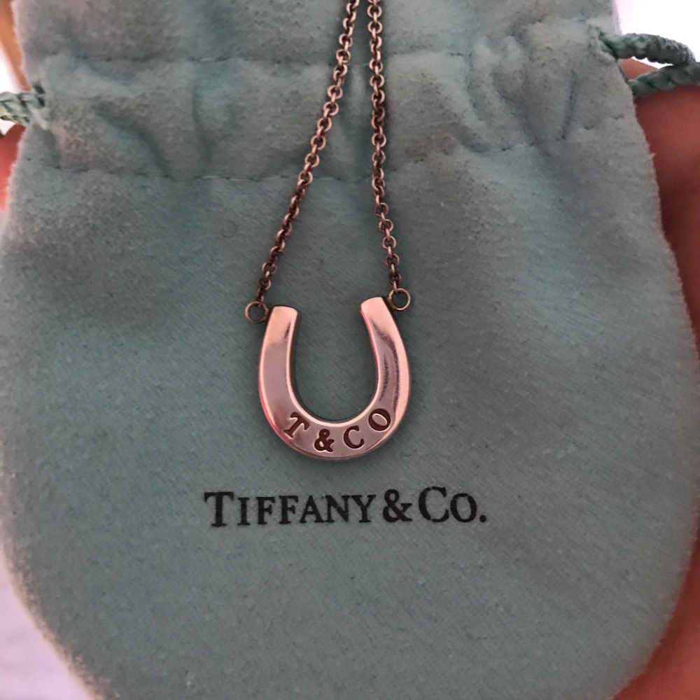Tiffany and Co. horseshoe necklace